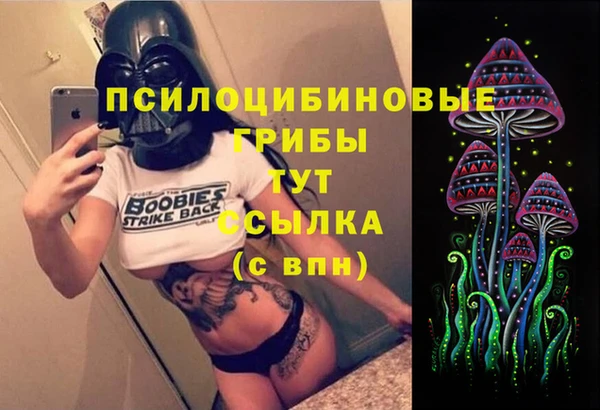 амф Алексин