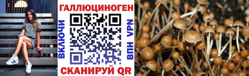 где продают Дыгулыбгей Псилоцибиновые грибы ЛСД